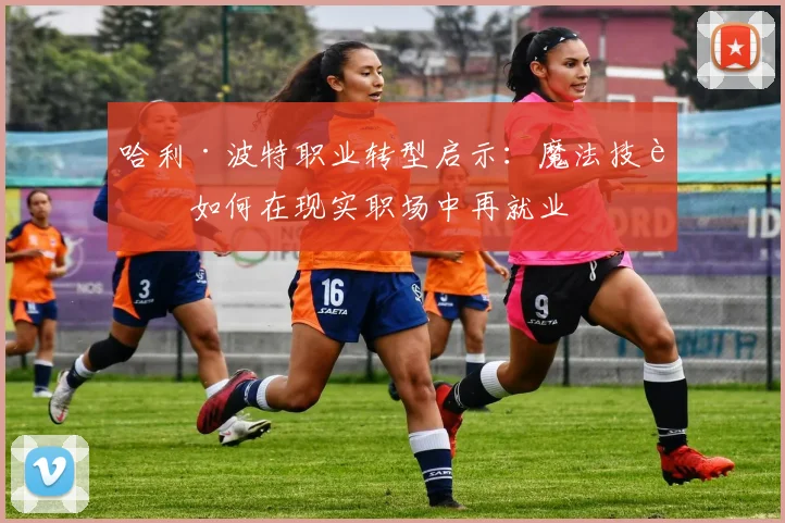 哈利·波特职业转型启示：魔法技能如何在现实职场中再就业