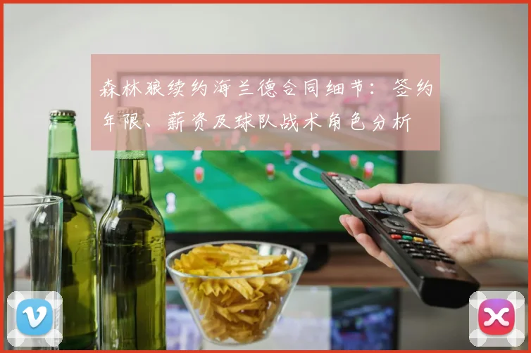 森林狼续约海兰德合同细节：签约年限、薪资及球队战术角色分析