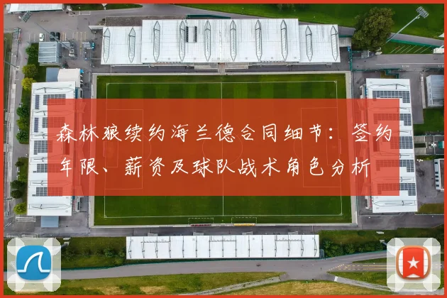 森林狼续约海兰德合同细节：签约年限、薪资及球队战术角色分析