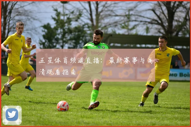五星体育频道直播：最新赛事与高清观看指南